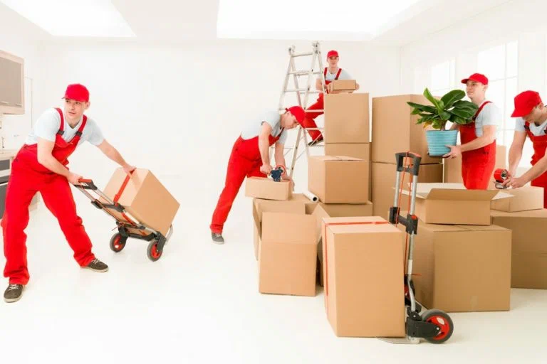 Home Best Movers in Dubai
