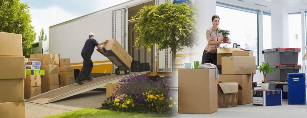 pickup truck rental service in dubai